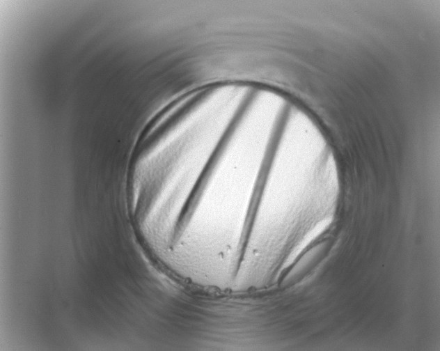 X0000068271513200605121833