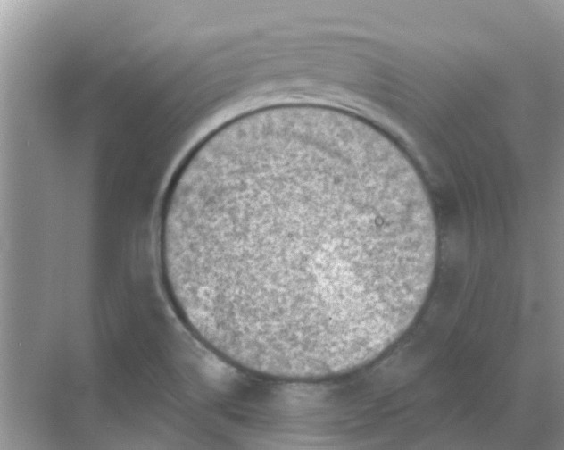 X0000068271514200605121833