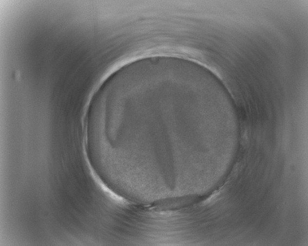 X0000068271515200605121833