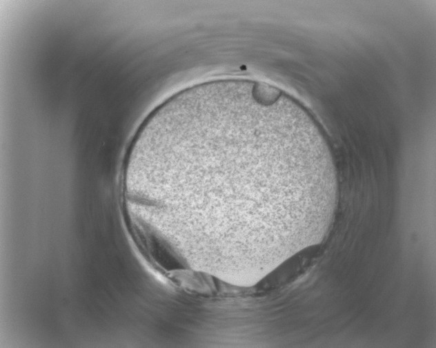 X0000068271519200605121833