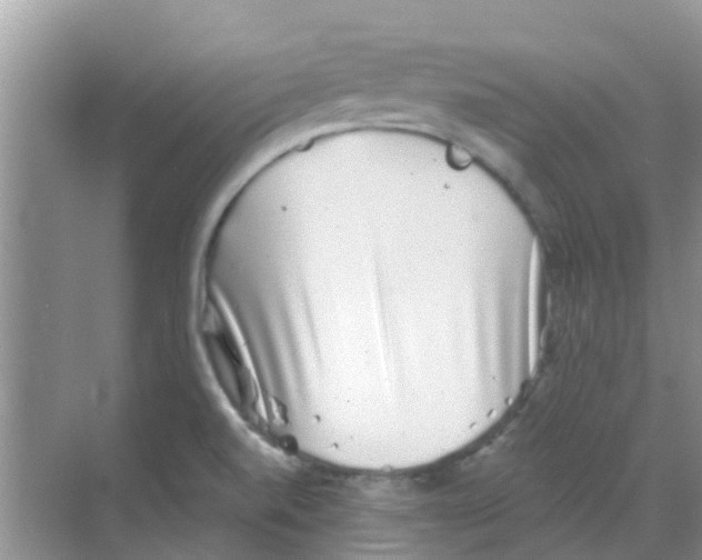 X0000068271520200605121833