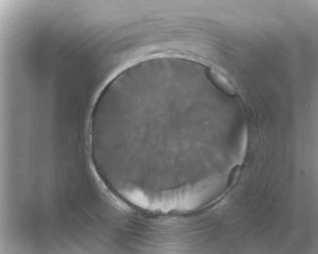 X0000068271522200605121833