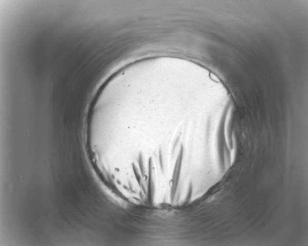 X0000068271523200605121833