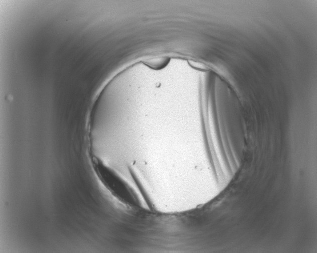 X0000068271524200605121833