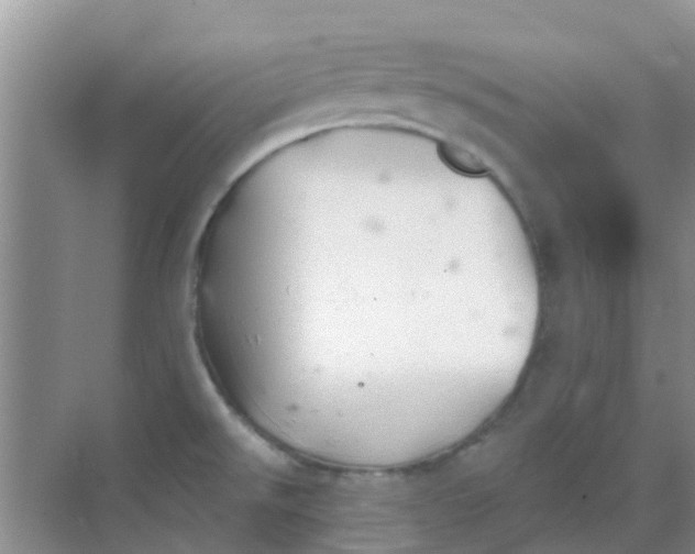 X0000068271526200605121833