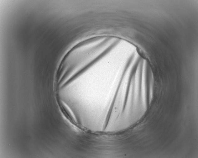 X0000068271527200605121833