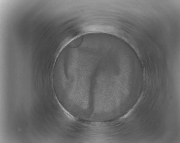 X0000068271529200605121833