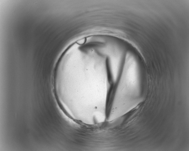 X0000068271531200605121833