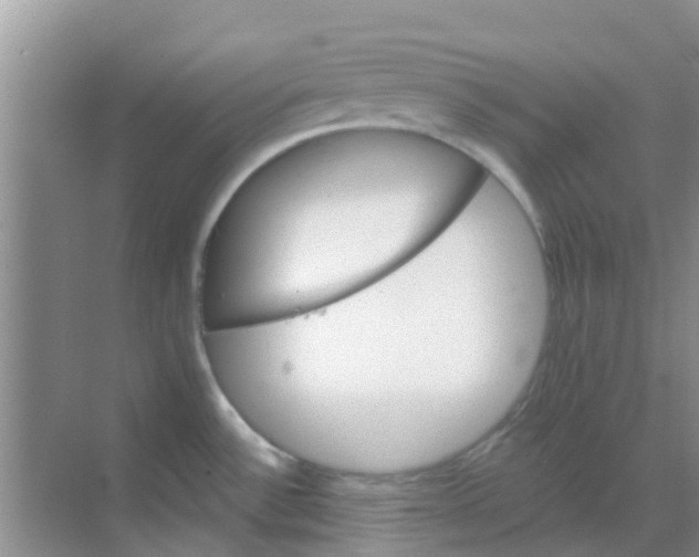 X0000068271532200605121833