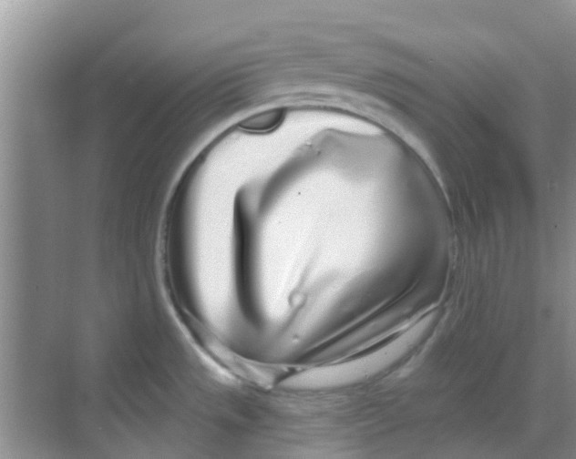 X0000068271533200605121833