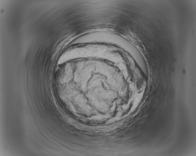 X0000068270001200605191839