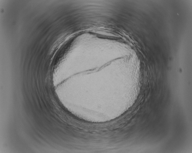 X0000068270002200605191839