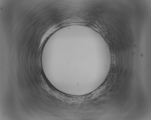 X0000068270004200605191839