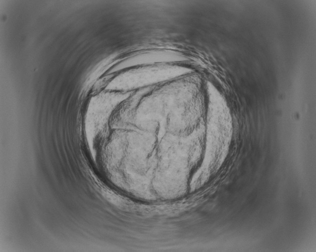 X0000068270005200605191839