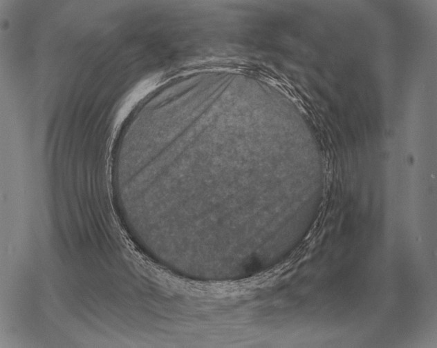 X0000068270006200605191839