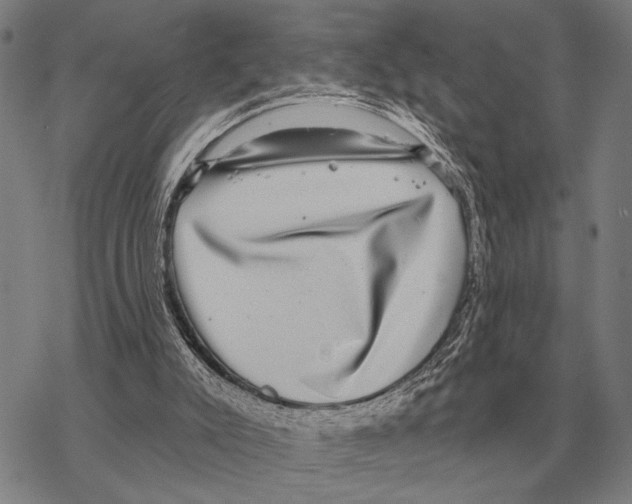 X0000068270007200605191839