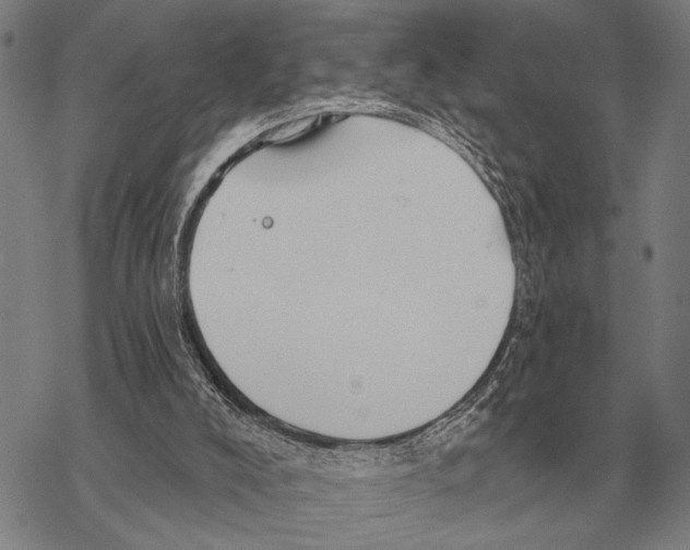 X0000068270008200605191839