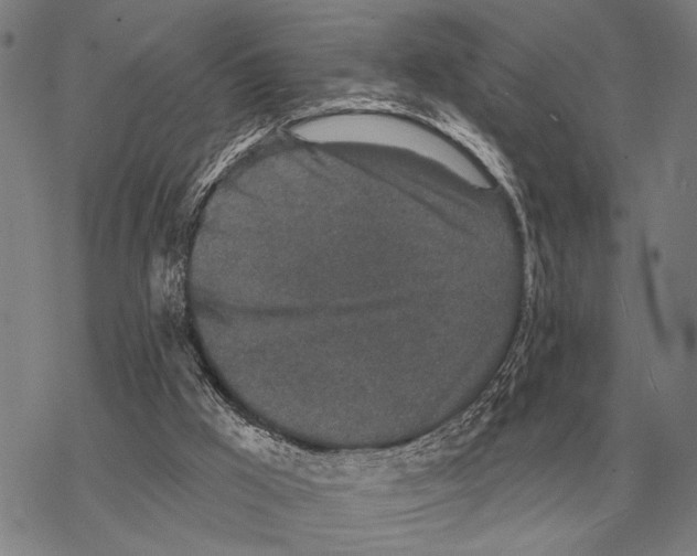 X0000068270009200605191839