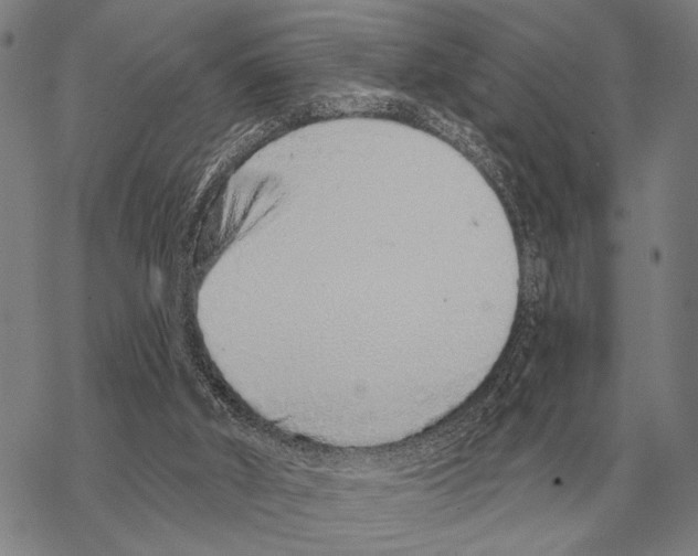 X0000068270010200605191839