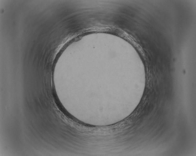 X0000068270011200605191839