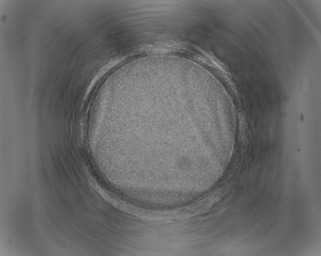 X0000068270012200605191839