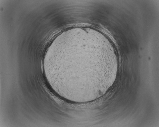 X0000068270013200605191839