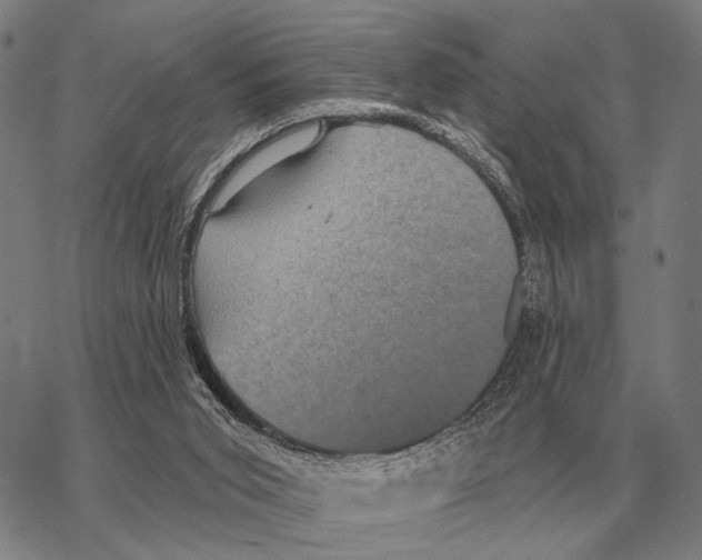 X0000068270015200605191839