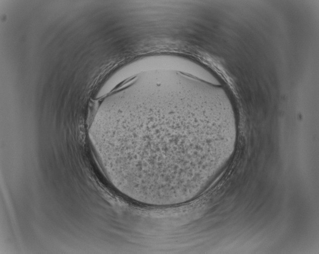 X0000068270017200605191839