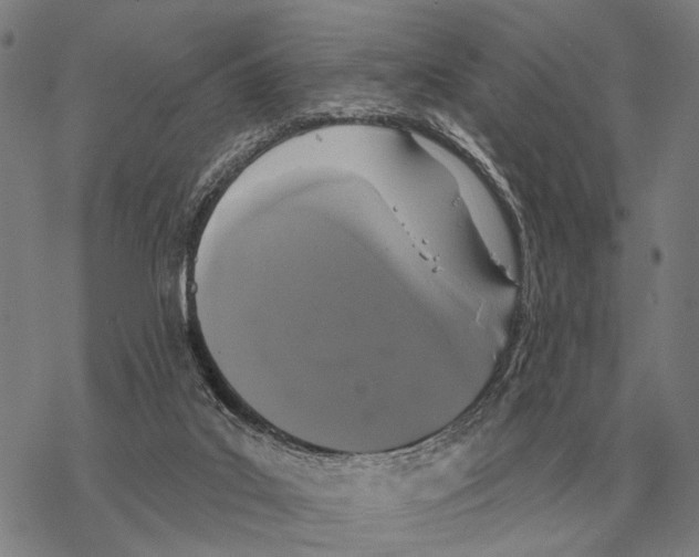 X0000068270019200605191839