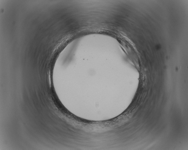 X0000068270020200605191839