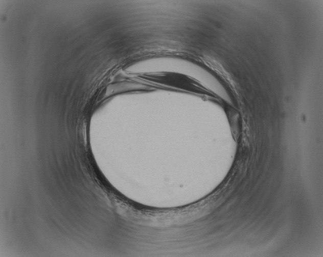 X0000068270021200605191839