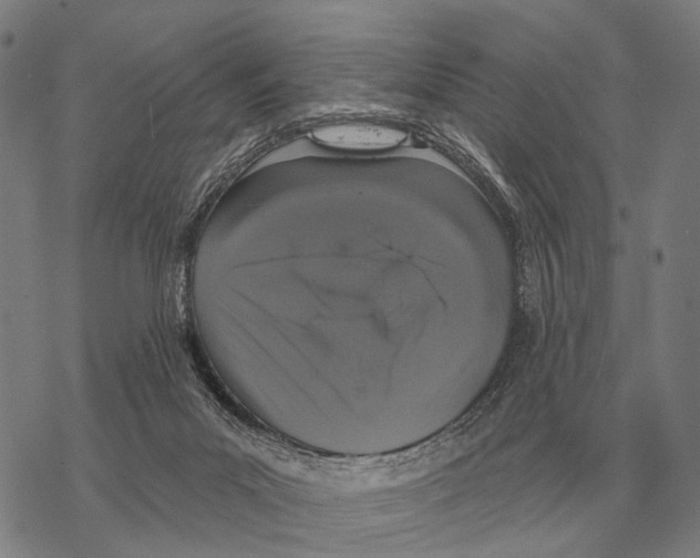 X0000068270023200605191839