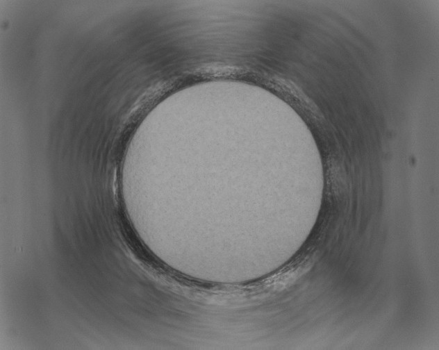 X0000068270024200605191839