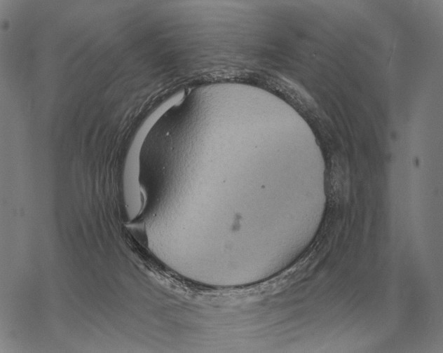 X0000068270025200605191839