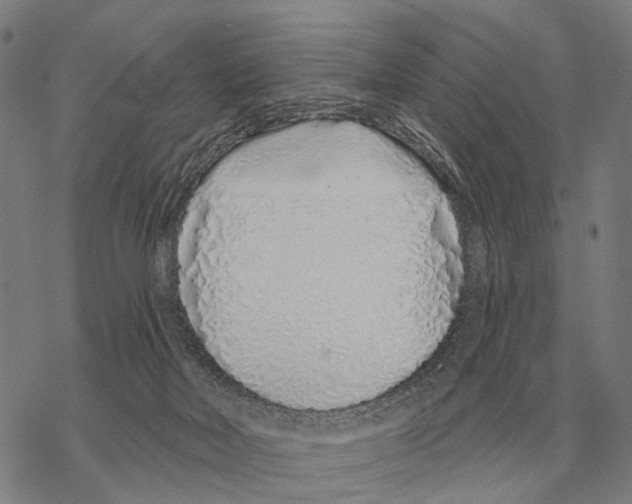 X0000068270026200605191839