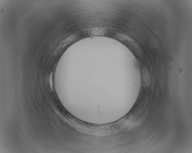 X0000068270028200605191839