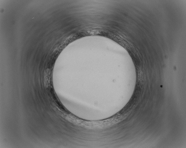 X0000068270030200605191839