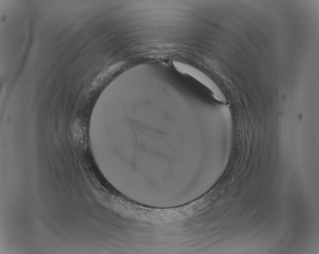 X0000068270031200605191839