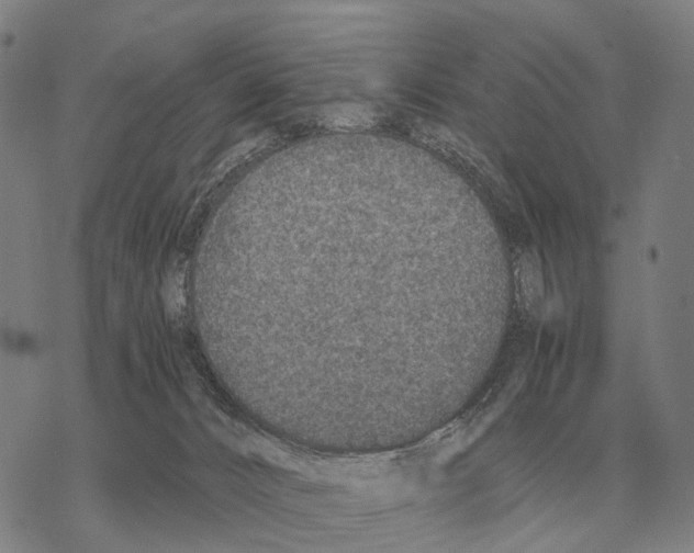 X0000068270032200605191839