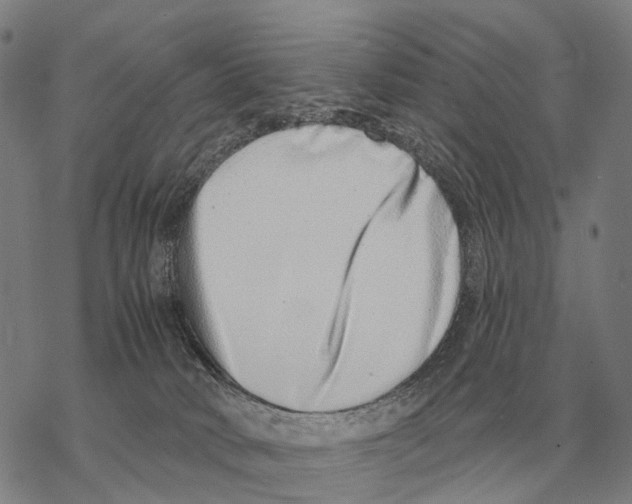 X0000068270034200605191839