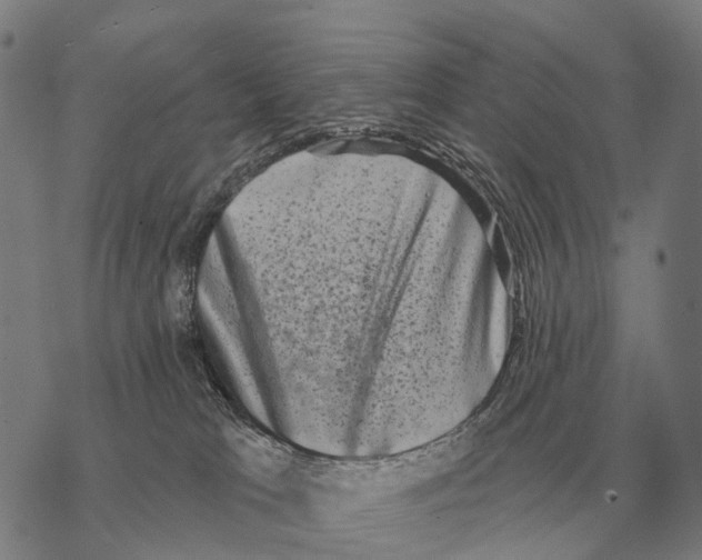 X0000068270037200605191839