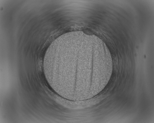 X0000068270038200605191839