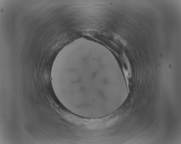 X0000068270039200605191839