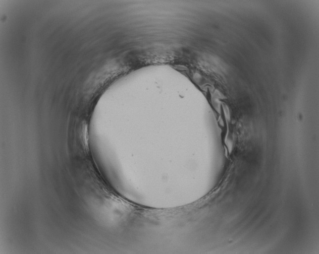 X0000068270041200605191839