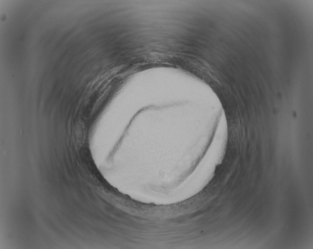 X0000068270043200605191839