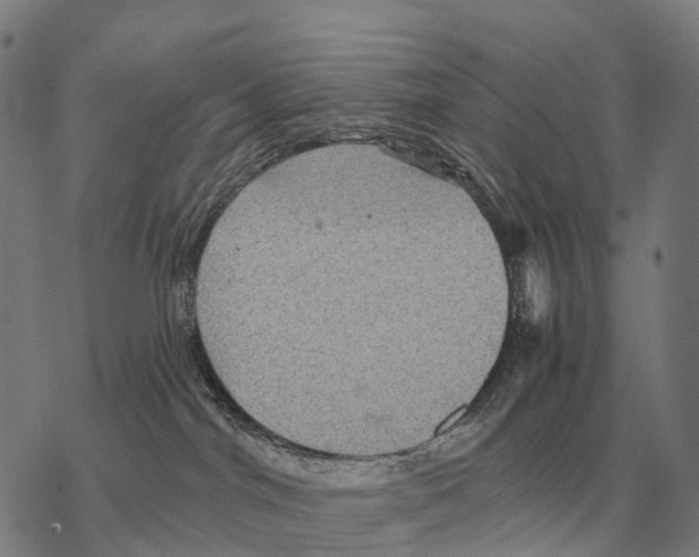 X0000068270044200605191839