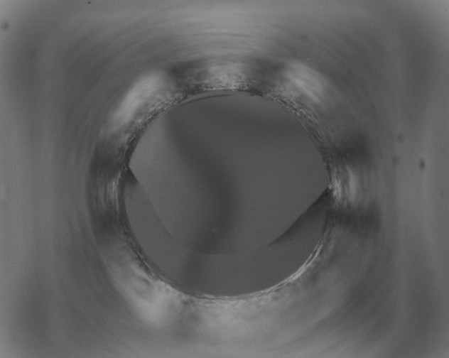 X0000068270045200605191839