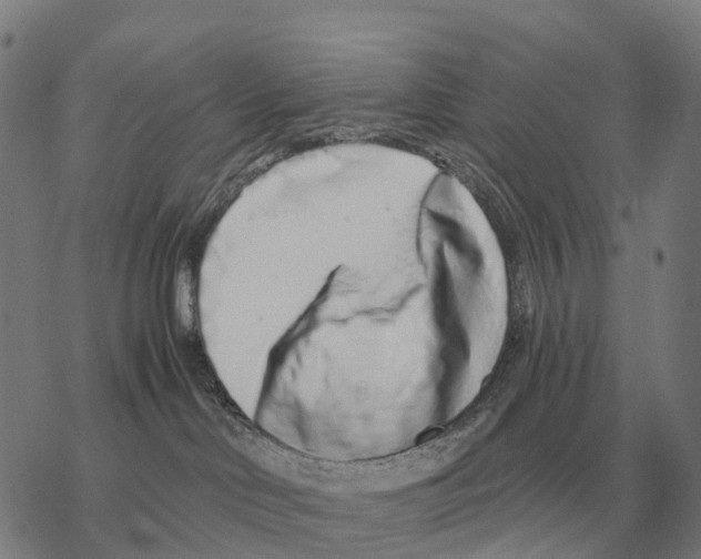 X0000068270046200605191839