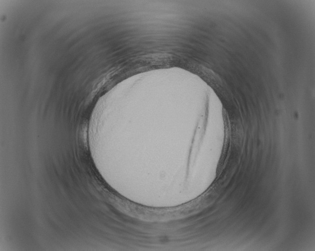 X0000068270047200605191839