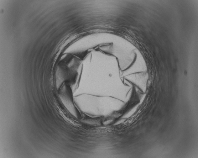 X0000068270050200605191838